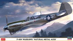 1/48 P40N Warhawk Natural Metal aces