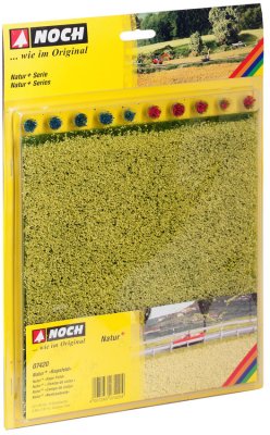 Zoom bild av RAPSFÄLT 22x20 cm.