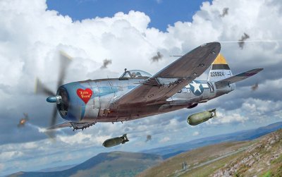 Zoom bild av 1/48 P-47D Thunderbolt