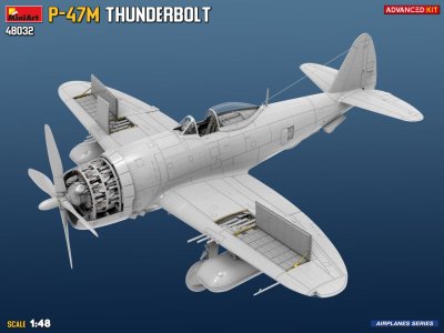Zoom bild av 1/48 P-47M Thunderbolt. Advanced Kit