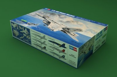Zoom bild av F/A-18E SUPER HORNET. SKALA 1/48