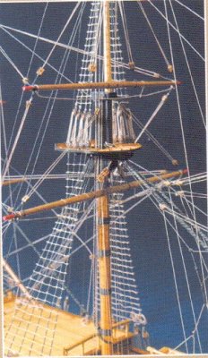 Zoom bild av ROYAL CAROLINE